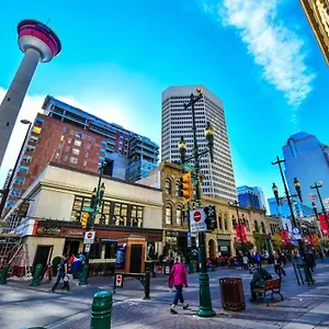 https://a-spacious-downtown-1-bed-suite.calgaryhotelsearch.com
